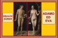 ADAMO ED EVA - Albrecht Dürer
