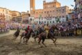 1 - PALIO DI SIENA